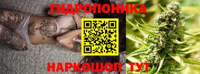 наркотики Кингисепп