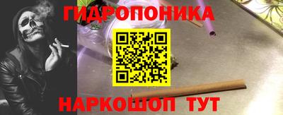наркотики Кингисепп