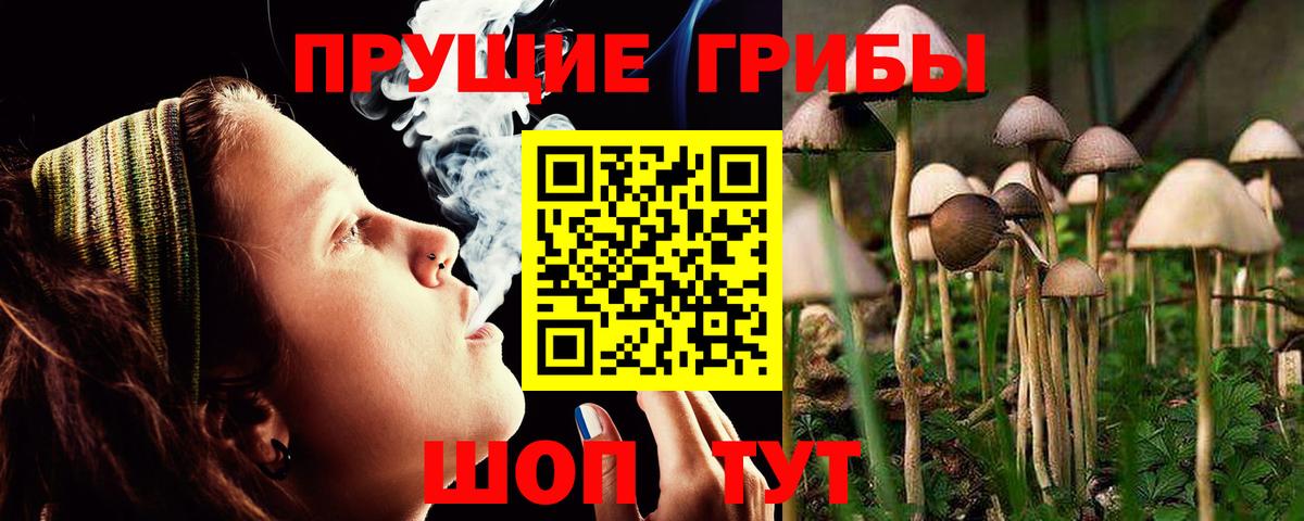 Галлюциногенные грибы Magic Shrooms  Вход с VPN  хочу наркоту  Комсомольск-на-Амуре 